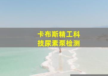 卡布斯精工科技尿素泵检测