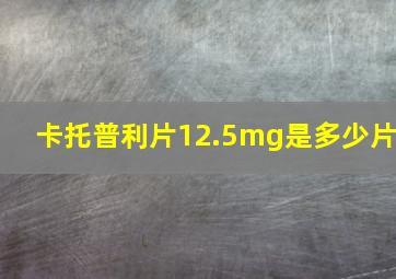 卡托普利片12.5mg是多少片