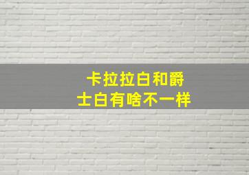 卡拉拉白和爵士白有啥不一样