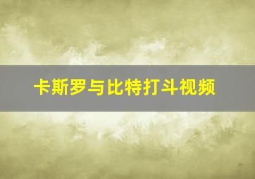 卡斯罗与比特打斗视频