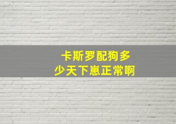 卡斯罗配狗多少天下崽正常啊