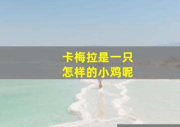 卡梅拉是一只怎样的小鸡呢