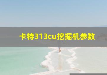 卡特313cu挖掘机参数