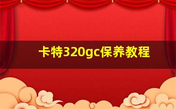 卡特320gc保养教程