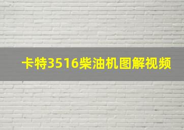 卡特3516柴油机图解视频