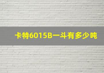 卡特6015B一斗有多少吨