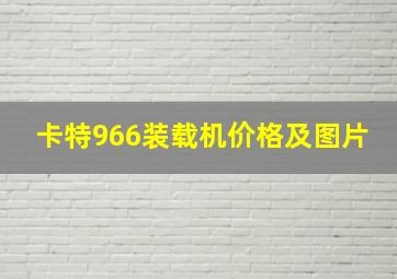 卡特966装载机价格及图片