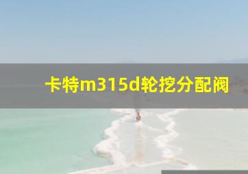 卡特m315d轮挖分配阀