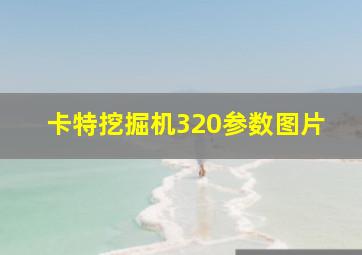 卡特挖掘机320参数图片