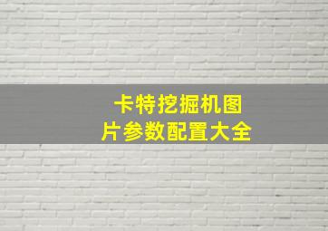 卡特挖掘机图片参数配置大全