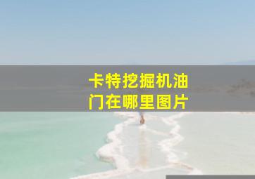 卡特挖掘机油门在哪里图片