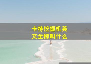 卡特挖掘机英文全称叫什么