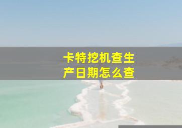 卡特挖机查生产日期怎么查