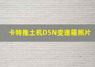 卡特推土机D5N变速箱照片