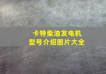 卡特柴油发电机型号介绍图片大全