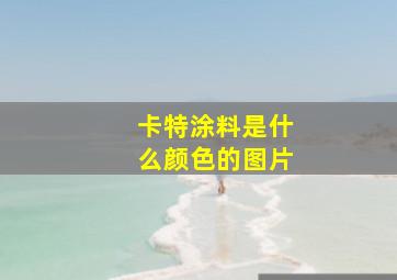 卡特涂料是什么颜色的图片