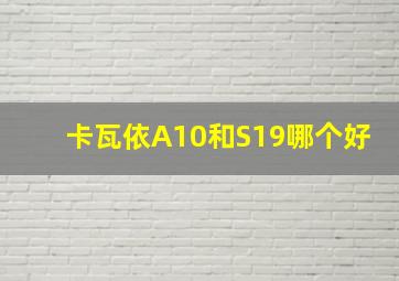 卡瓦依A10和S19哪个好