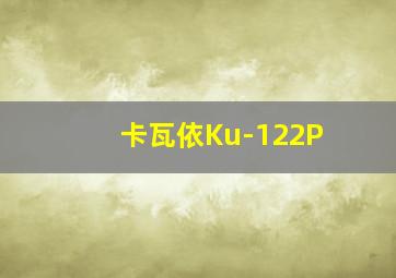 卡瓦依Ku-122P