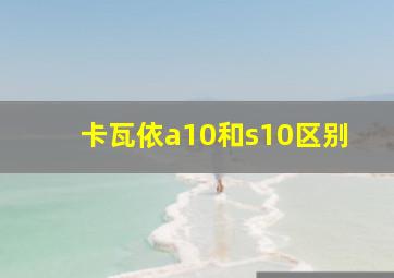 卡瓦依a10和s10区别