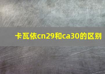 卡瓦依cn29和ca30的区别