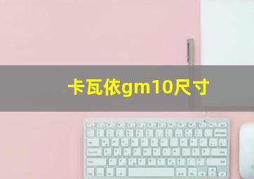 卡瓦依gm10尺寸