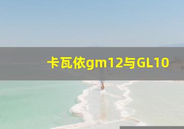 卡瓦依gm12与GL10