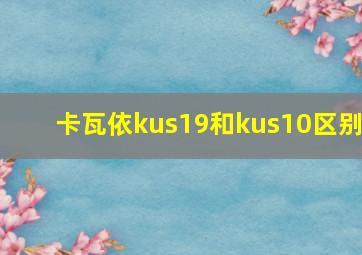 卡瓦依kus19和kus10区别