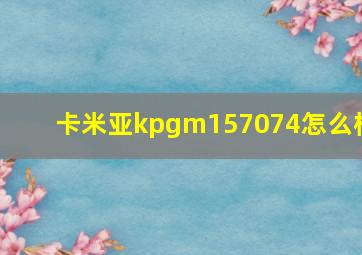 卡米亚kpgm157074怎么样