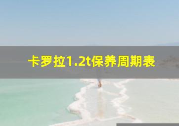 卡罗拉1.2t保养周期表