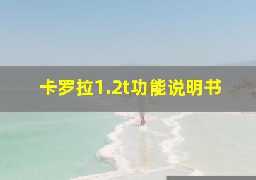 卡罗拉1.2t功能说明书