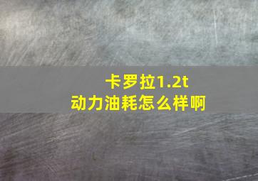 卡罗拉1.2t动力油耗怎么样啊