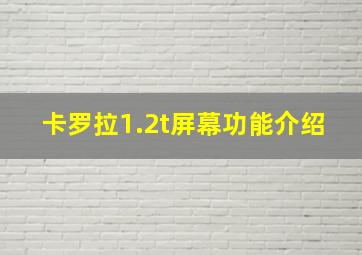 卡罗拉1.2t屏幕功能介绍