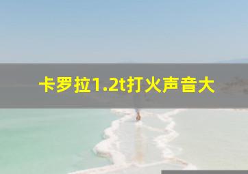 卡罗拉1.2t打火声音大