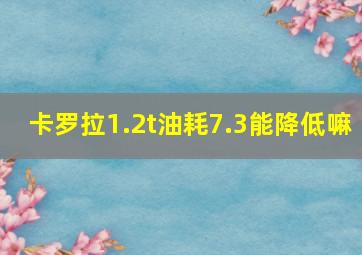 卡罗拉1.2t油耗7.3能降低嘛