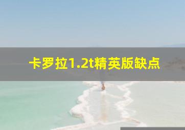 卡罗拉1.2t精英版缺点