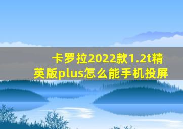 卡罗拉2022款1.2t精英版plus怎么能手机投屏