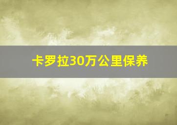 卡罗拉30万公里保养