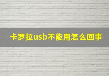 卡罗拉usb不能用怎么回事