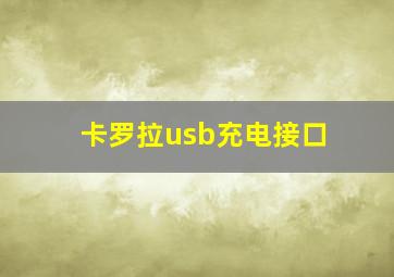 卡罗拉usb充电接口