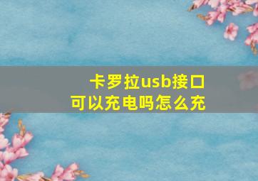 卡罗拉usb接口可以充电吗怎么充