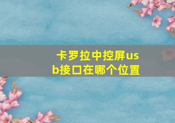 卡罗拉中控屏usb接口在哪个位置