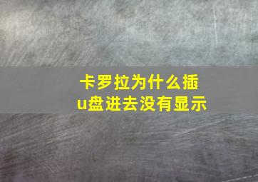 卡罗拉为什么插u盘进去没有显示