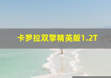 卡罗拉双擎精英版1.2T