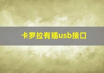 卡罗拉有插usb接口