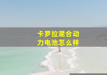 卡罗拉混合动力电池怎么样