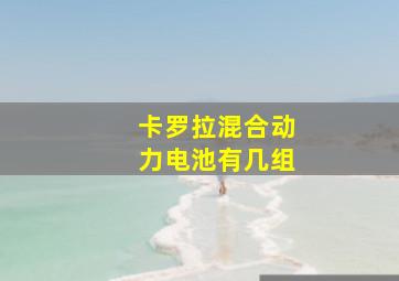 卡罗拉混合动力电池有几组