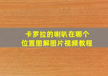 卡罗拉的喇叭在哪个位置图解图片视频教程