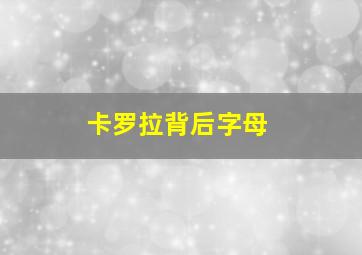 卡罗拉背后字母