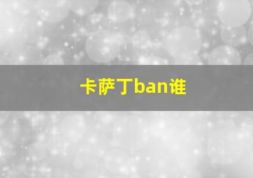 卡萨丁ban谁