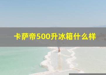 卡萨帝500升冰箱什么样